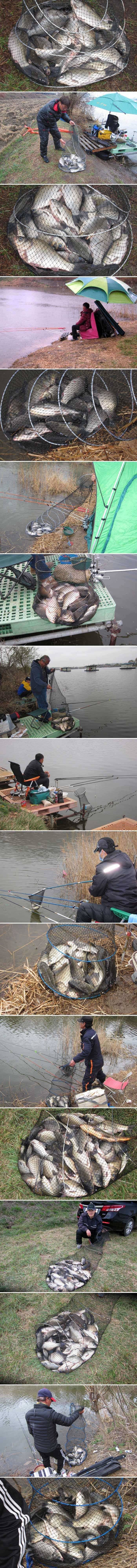 드디어 산란을 하고있습니다 (유료터정보 - 유료터점주조황)