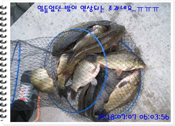 도심속의 작은 쉼터 화성 관리낚시터입니다만석 감사합니다 (유료터정보 - 유료터점주조황)