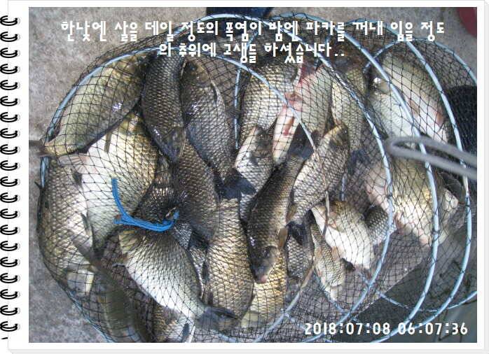 도심속의 작은 쉼터 화성 관리낚시터입니다쉬어가세요 (유료터정보 - 유료터점주조황)