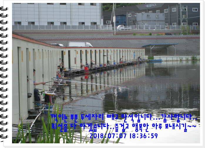 도심속의 작은 쉼터 화성 관리낚시터입니다쉬어가세요 (유료터정보 - 유료터점주조황)