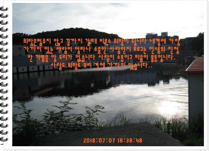 도심속의 작은 쉼터 화성 관리낚시터입니다쉬어가세요 (유료터정보 - 유료터점주조황)