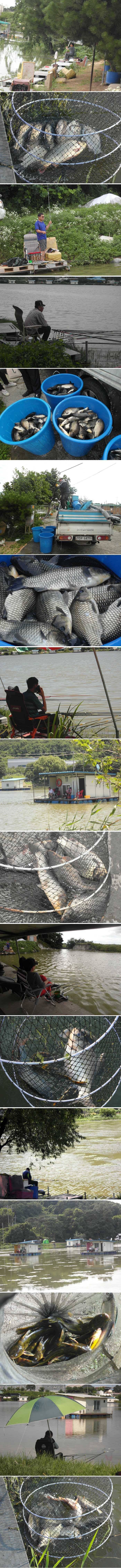 주말 징크스인가요 (유료터정보 - 유료터점주조황)