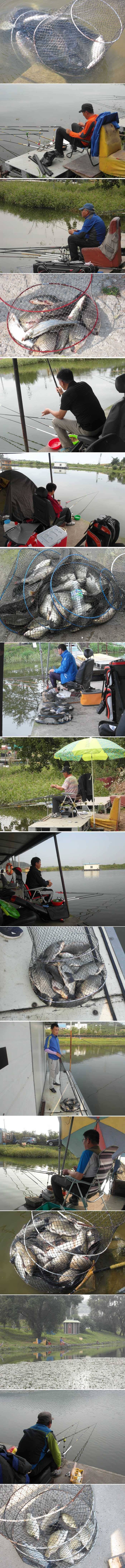 본격적인 가을시즌입니다 (유료터정보 - 유료터점주조황)