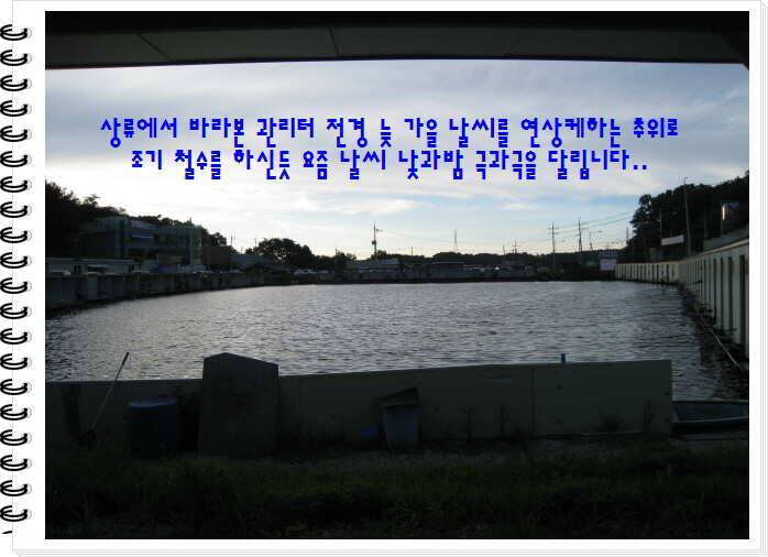 도심속의 작은 쉼터 화성 관리낚시터입니다쉬어가세요 (유료터정보 - 유료터점주조황)