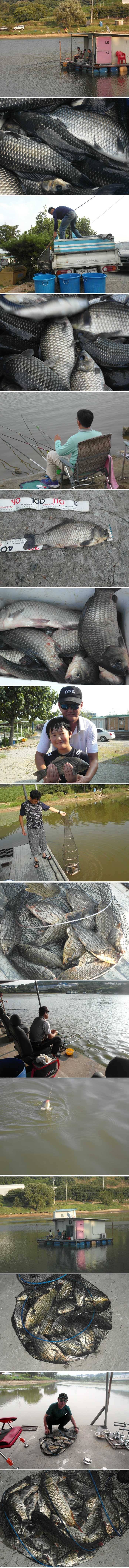 금년들어 최고의 조황입니다 (유료터정보 - 유료터점주조황)