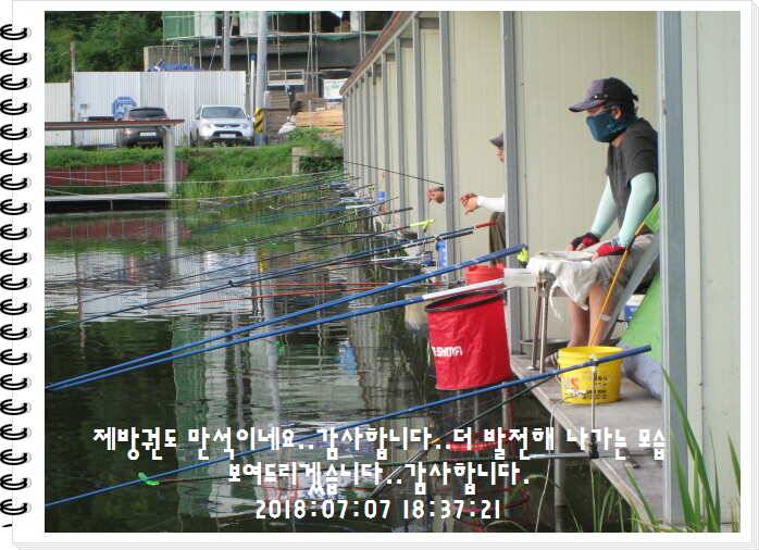 도심속의 작은 쉼터 화성 관리낚시터입니다쉬어가세요 (유료터정보 - 유료터점주조황)