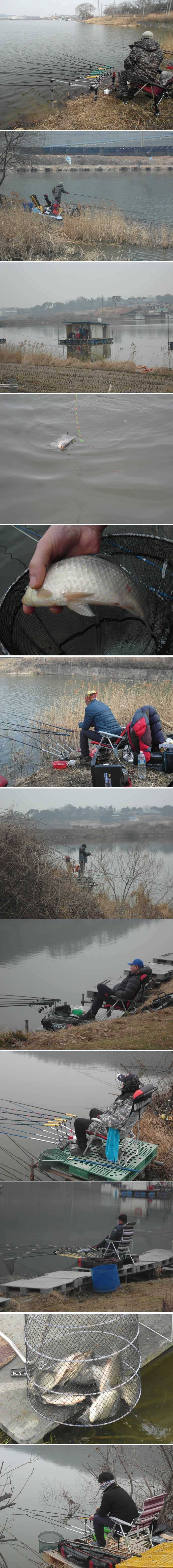 아직은 빠른가 (유료터정보 - 유료터점주조황)