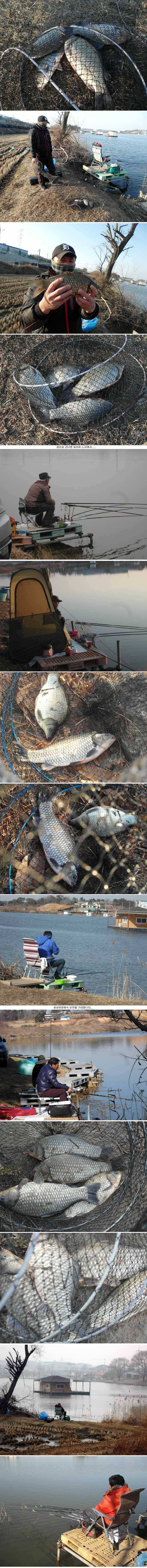 이쁘고 깨끗한 붕어입니다 (유료터정보 - 유료터점주조황)