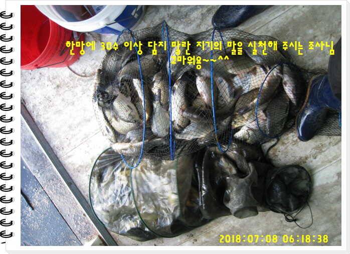 도심속의 작은 쉼터 화성 관리낚시터입니다쉬어가세요 (유료터정보 - 유료터점주조황)