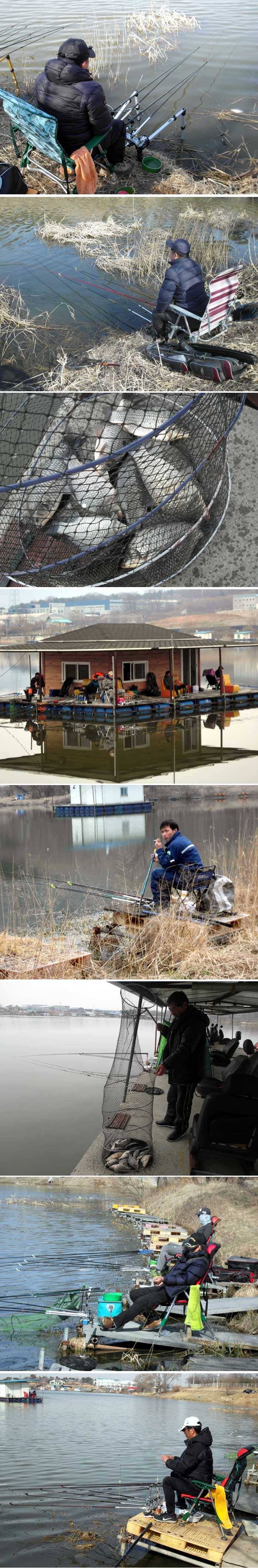 신봉지 방류및 주말소식입니다 (유료터정보 - 유료터점주조황)