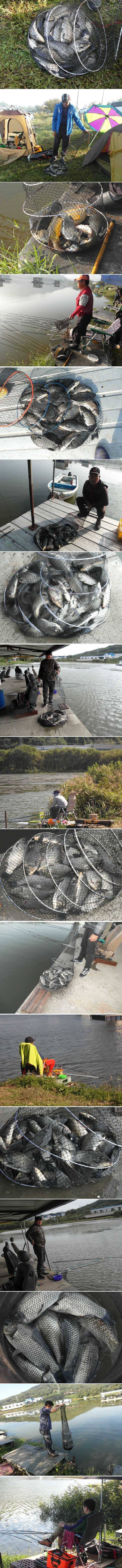 통통하게 살찐 붕어가 (유료터정보 - 유료터점주조황)
