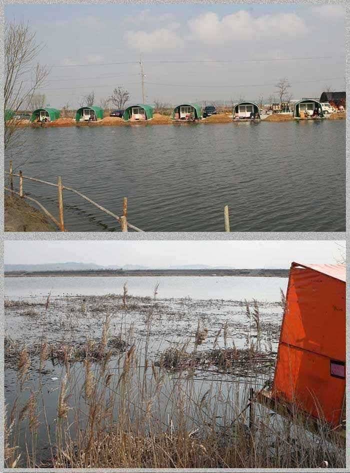 노진낚시터 양어장 입질 대박임돠 (유료터정보 - 유료터점주조황)