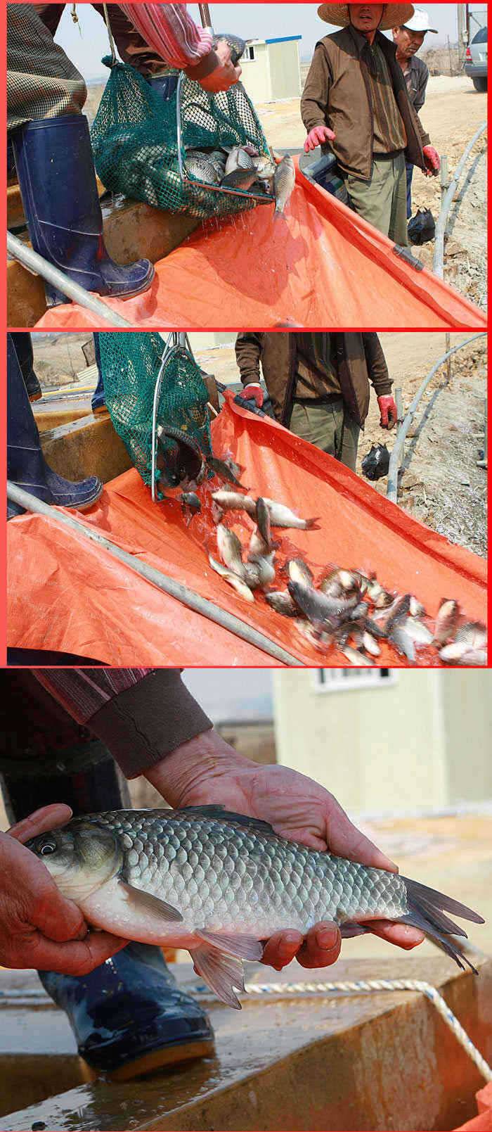 노진낚시터노지양어장대박임돠 (유료터정보 - 유료터점주조황)