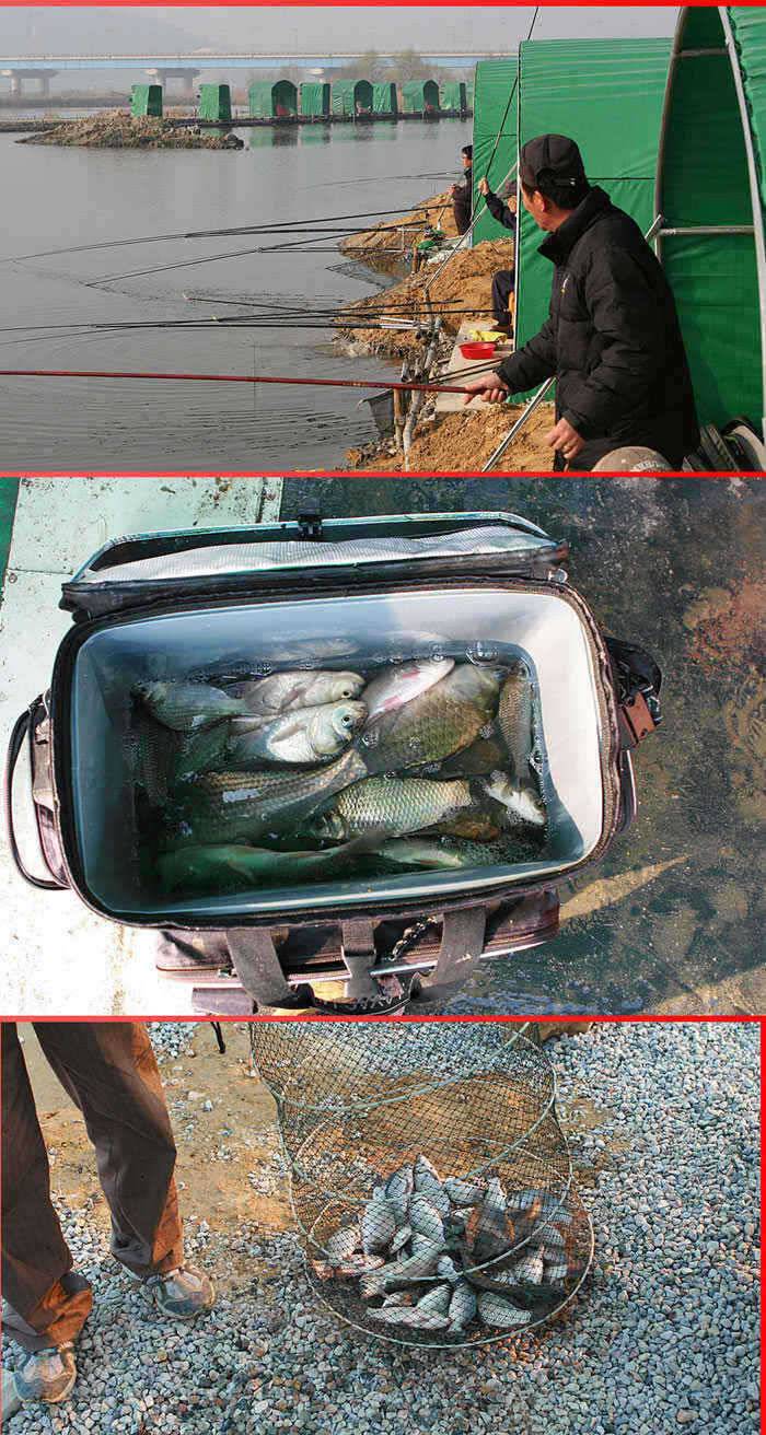 노진낚시터노지양어장대박임돠 (유료터정보 - 유료터점주조황)