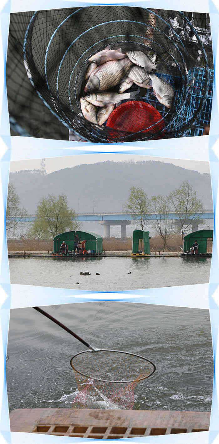 붕어입질죽여줘요◀ (유료터정보 - 유료터점주조황)