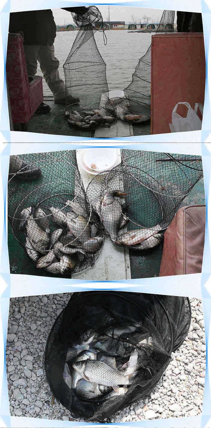 붕어입질죽여줘요◀ (유료터정보 - 유료터점주조황)
