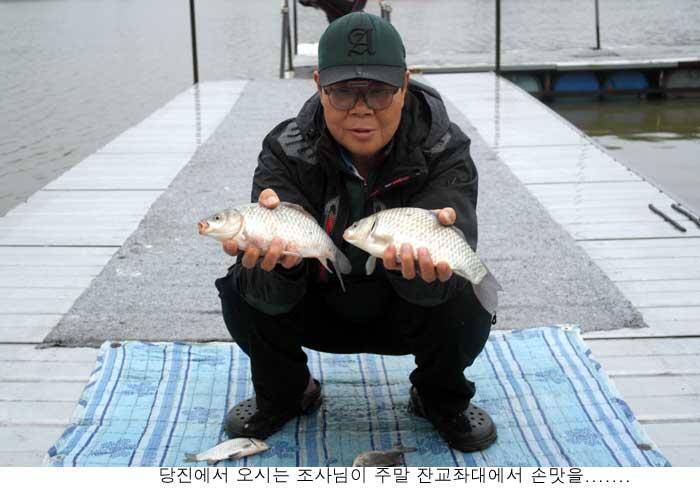 신봉지 주말은 모처럼 (유료터정보 - 유료터점주조황)