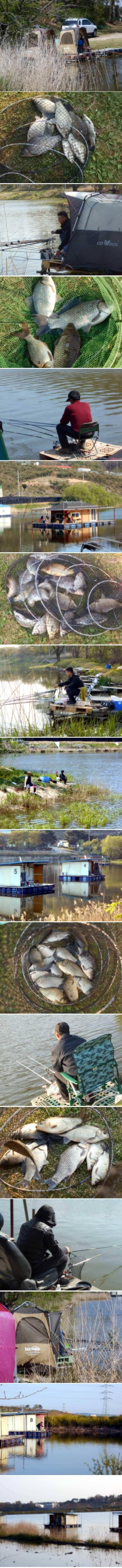 출발은 좋은데 (유료터정보 - 유료터점주조황)