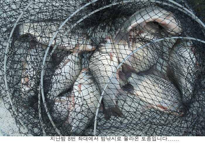 드디어 신봉지도 만수위가 (유료터정보 - 유료터점주조황)