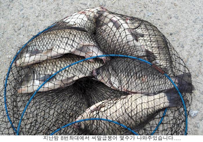 가장 어려운것은 낚시입니다 (유료터정보 - 유료터점주조황)