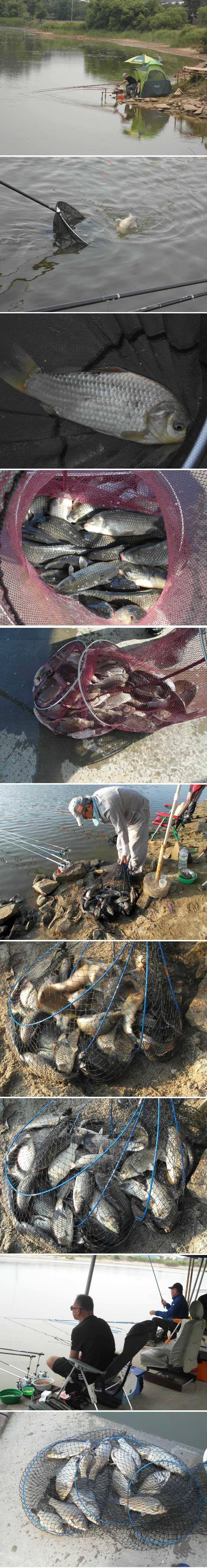 6월을 시작하는 주말입니다 (유료터정보 - 유료터점주조황)