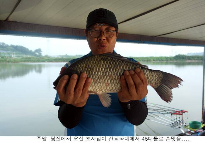 주말 신봉지는 곳곳에서 토종대물이 (유료터정보 - 유료터점주조황)
