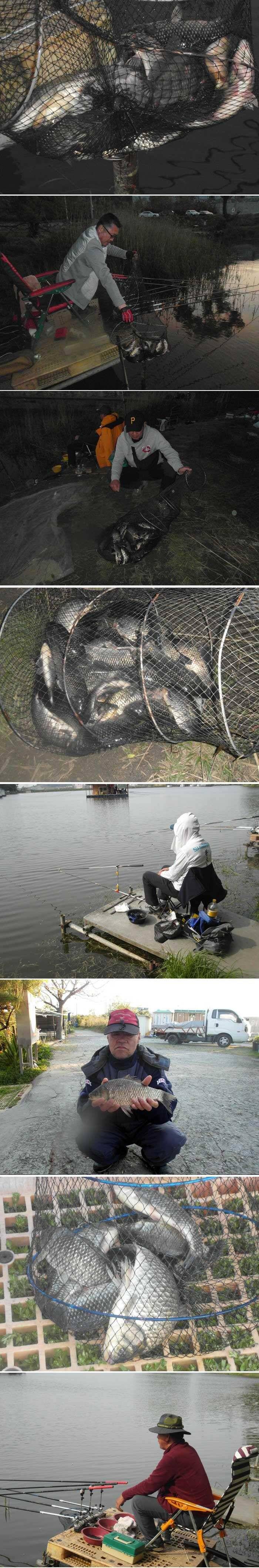 어린이날 신봉지는 (유료터정보 - 유료터점주조황)
