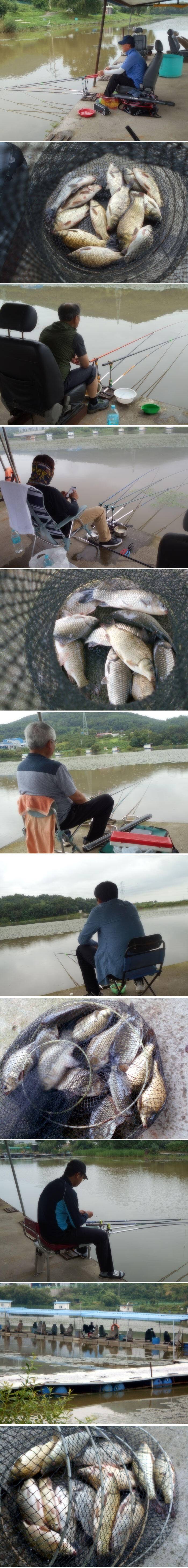 오늘도 풍성한 조과를 드립니다 (유료터정보 - 유료터점주조황)