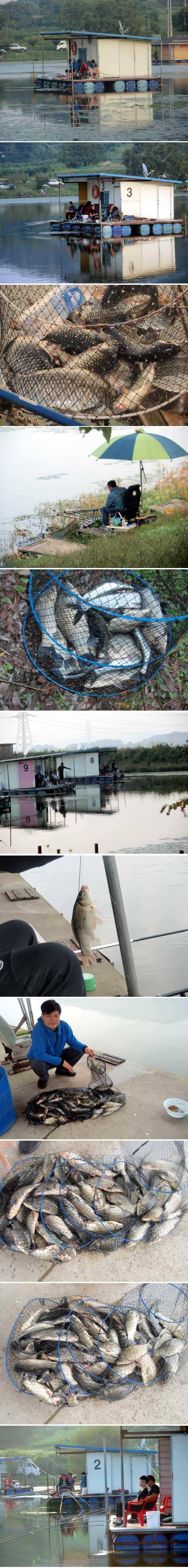 신봉지는 9월을 이런조황으로 마감합니다 (유료터정보 - 유료터점주조황)