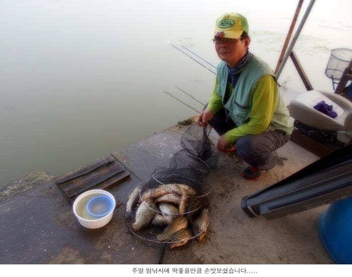 숨통트이는 신봉지 조황입니다 (유료터정보 - 유료터점주조황)