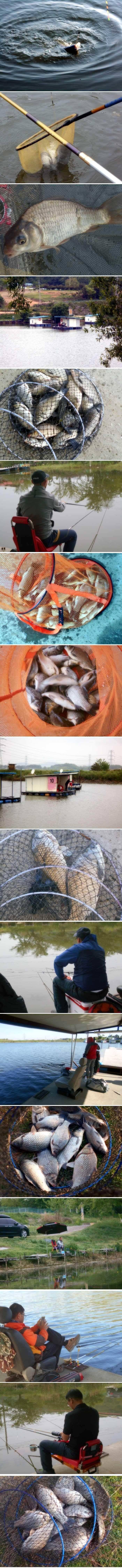 본격적인 농사철 입니다 (유료터정보 - 유료터점주조황)