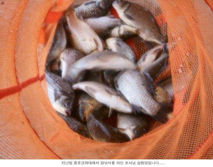 본격적인 농사철 입니다 (유료터정보 - 유료터점주조황)