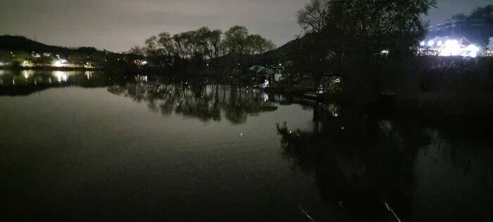 아산 명품월랑낚시터 4월 첫번째 조황 이야기 입니다 (유료터정보 - 유료터점주조황)