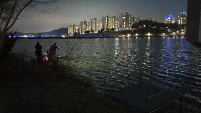 아산 명품 월랑낚시터 3월 두번째 조황이야기입니다 (유료터정보 - 유료터점주조황)