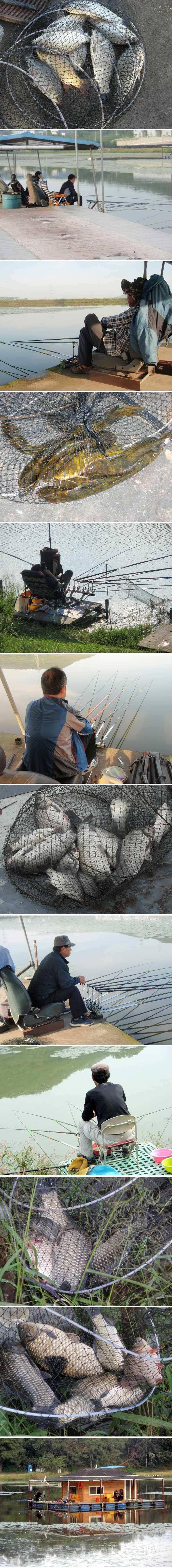아직은 밤낚시를 추천합니다 (유료터정보 - 유료터점주조황)