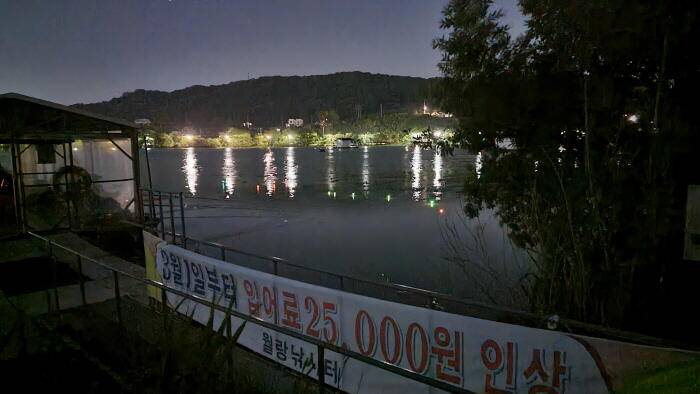 아산 명품 월랑낚시터 6월 첫번째 조황이야기입니다 (유료터정보 - 유료터점주조황)