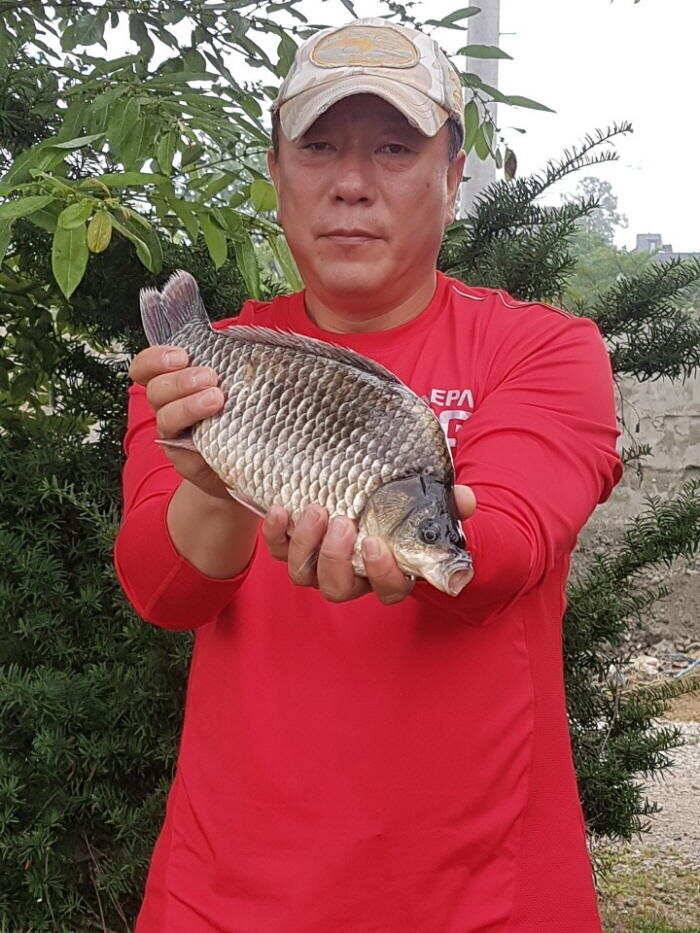 아산 명품 월랑낚시터 7월 첫번째 조황이야기입니다 (유료터정보 - 유료터점주조황)