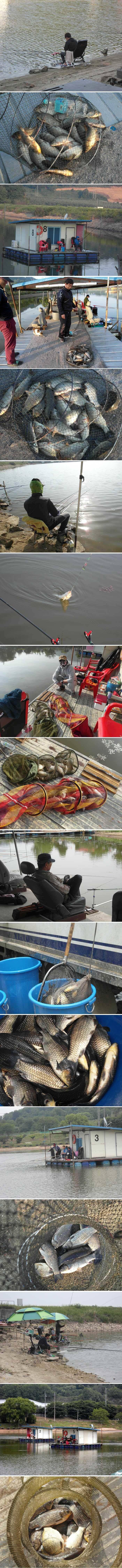 6월을 시작하는 주말입니다 (유료터정보 - 유료터점주조황)