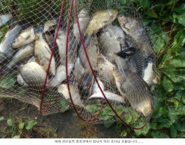 수위가 오르니 바로 나오네요 (유료터정보 - 유료터점주조황)