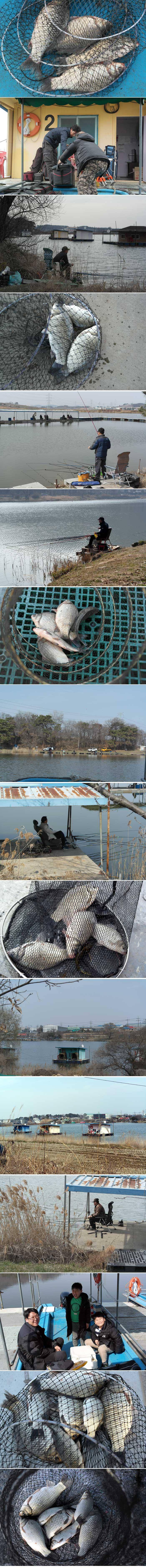 신봉지의 주말은 이런조황이 (유료터정보 - 유료터점주조황)
