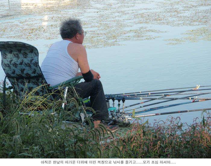 조금은 한가한 주중이었습니다 (유료터정보 - 유료터점주조황)