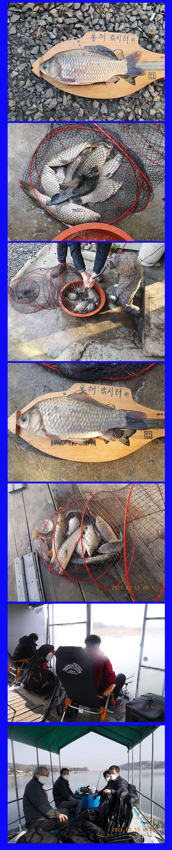 봉재낚시터 3월 13일 토 조황 (유료터정보 - 유료터점주조황)