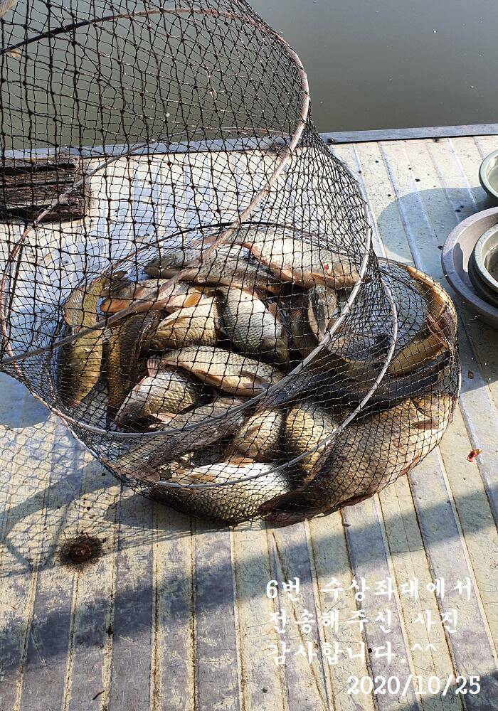 아산신수지 10월 넷째 주말 화보입니다 (유료터정보 - 유료터점주조황)