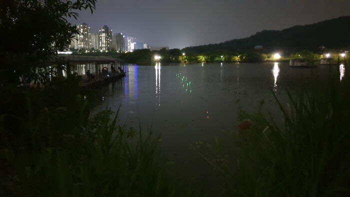아산 명품 월랑낚시터 6월 첫번째 조황이야기입니다 (유료터정보 - 유료터점주조황)