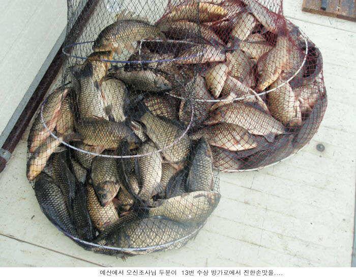 나날이 좋아지고 있습니다 (유료터정보 - 유료터점주조황)