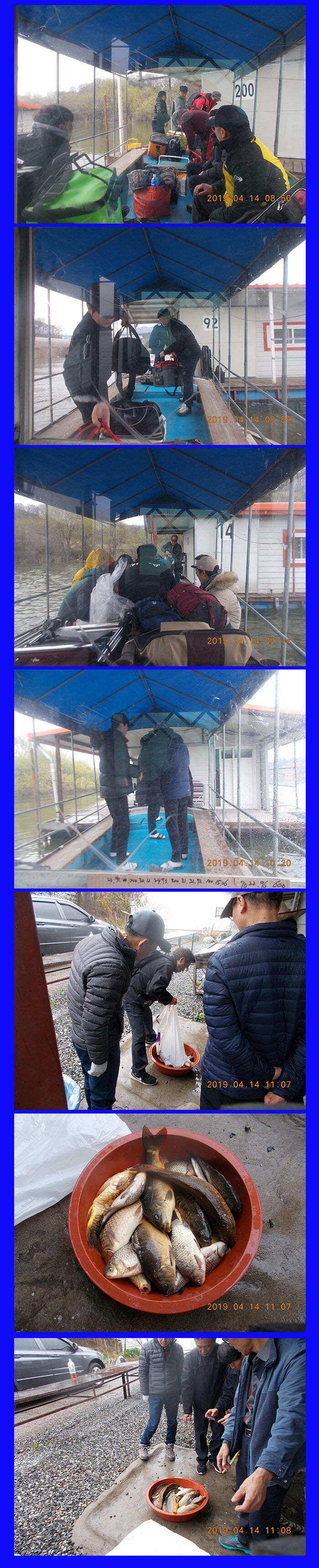 봉재낚시터 4월 14일일 조황 (유료터정보 - 유료터점주조황)