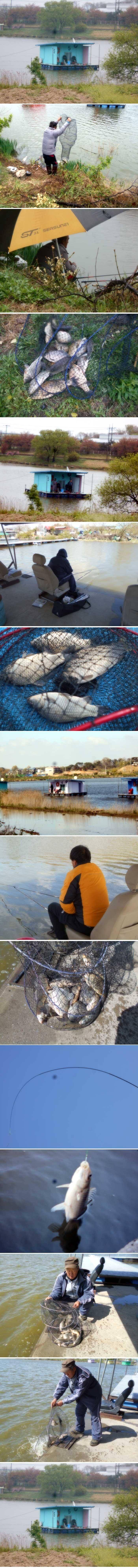 정상적인 조황으로가고 있습니다 (유료터정보 - 유료터점주조황)