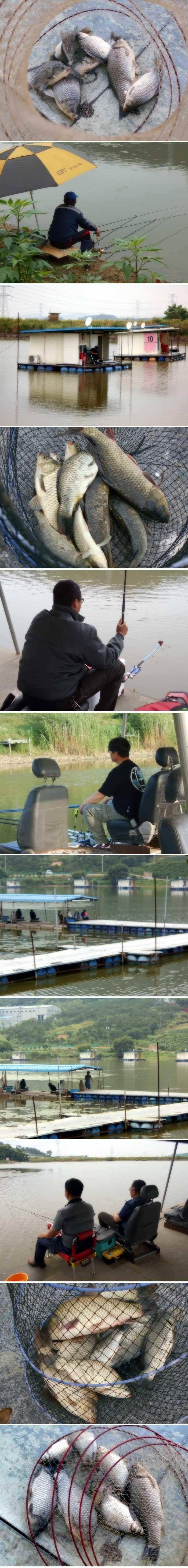 조황을 이어가고 있습니다 (유료터정보 - 유료터점주조황)