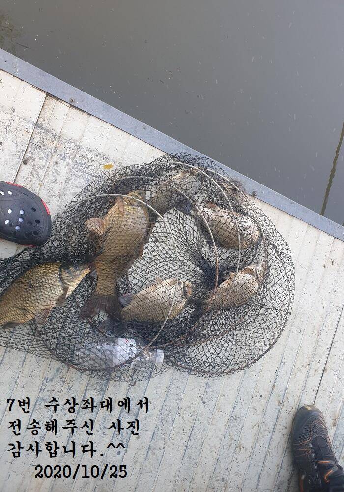 아산신수지 10월 넷째 주말 화보입니다 (유료터정보 - 유료터점주조황)