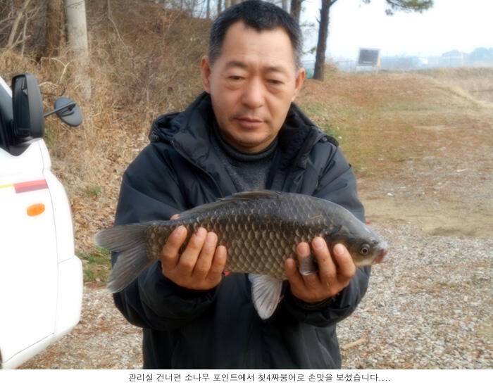 올첮 4짜토종 붕어가 나온주말입니다 (유료터정보 - 유료터점주조황)